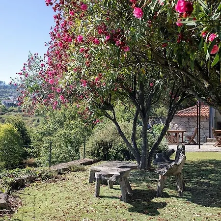 Quinta Da Ventuzela 3* Cinfães