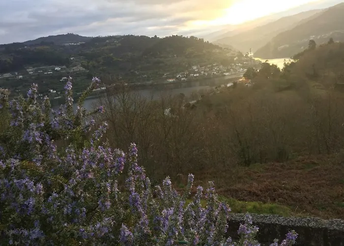 Quinta Da Ventuzela Gæstehus Cinfães